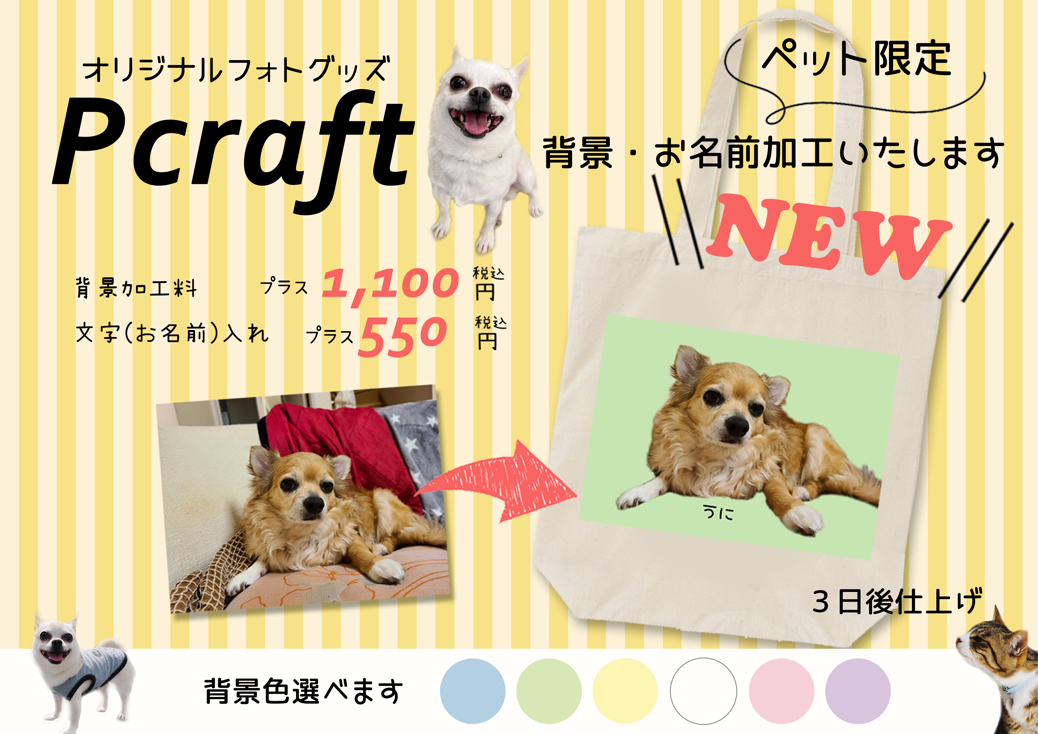  コイデカメラ オリジナルグッズ「P-Craft」に限定オプション追加！:イメージ